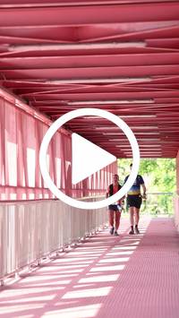 BIB:  <button type="button" onclick="openModal(27576649)" class="btn btn-primary btn-sm float-right" data-toggle="modal" data-target=".modal-high-quality">
                <i class="fa fa-download"></i> Download
                </button>